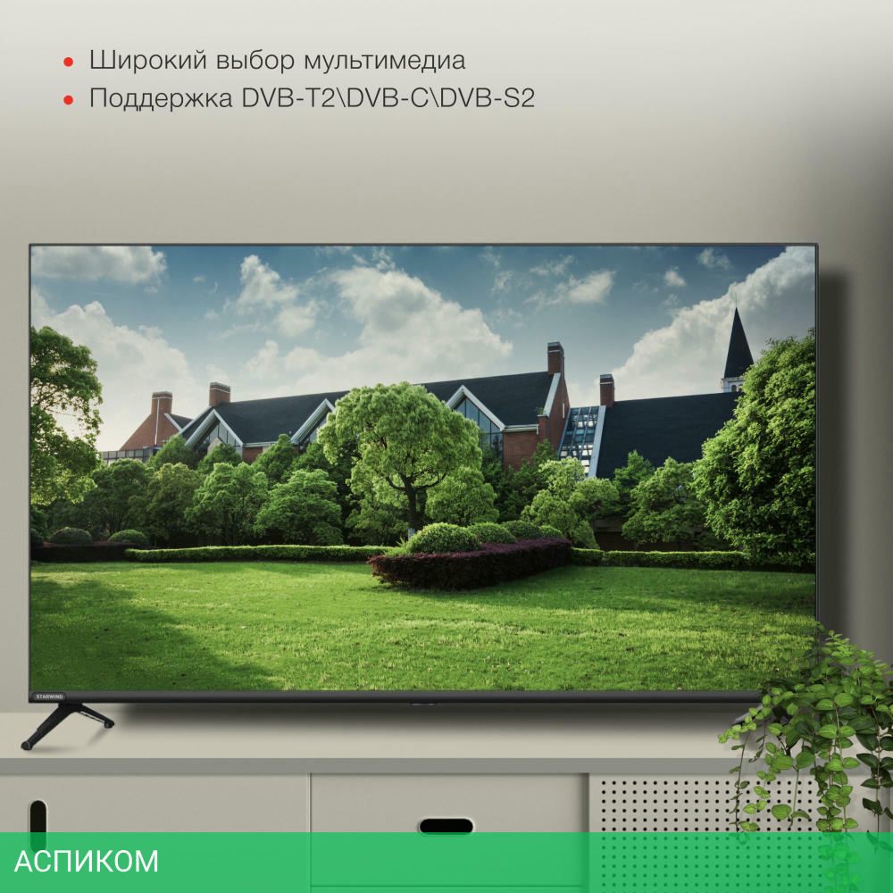 Телевизор StarWind SW-LED43SG300 черный