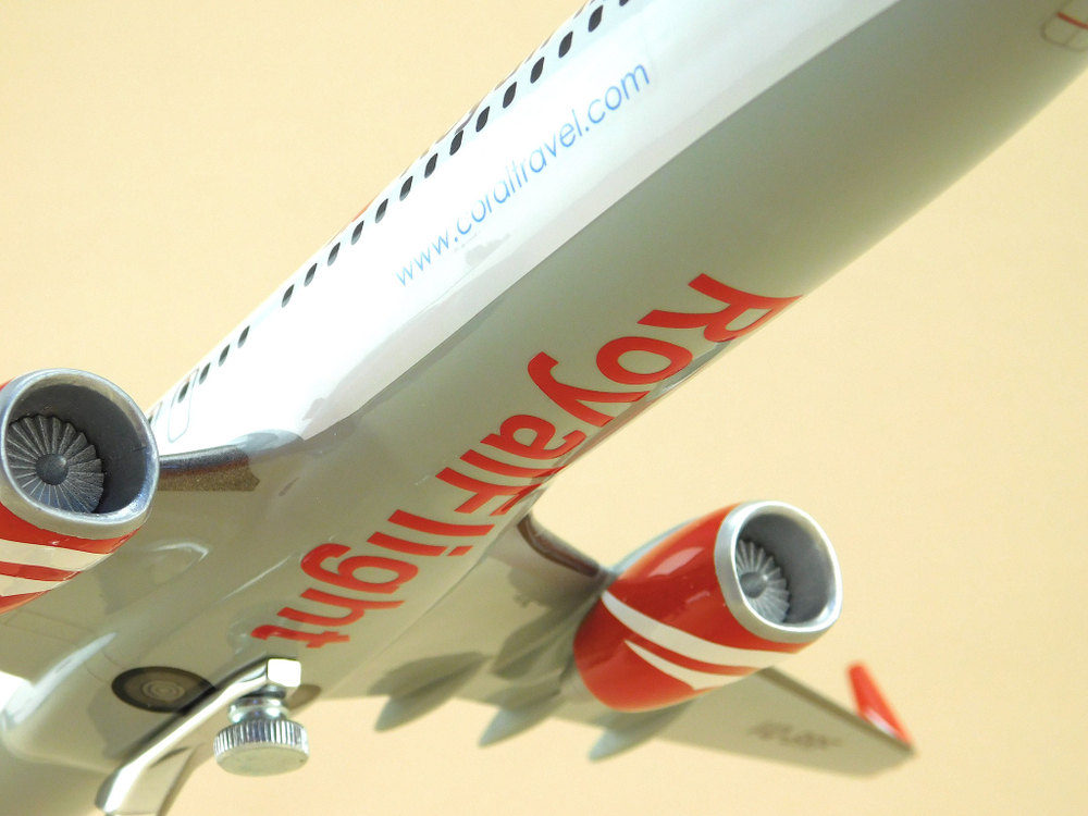 Модель самолета Boeing 737-800 (М1:100, Royal Fligt)