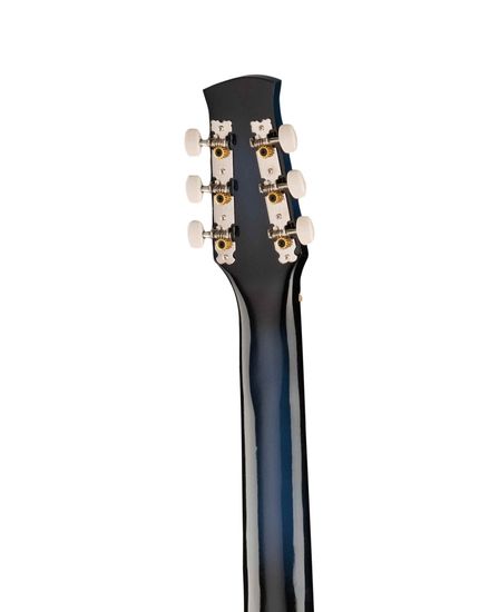 Акустическая гитара Ижевский завод Т.И.М 31C-BL