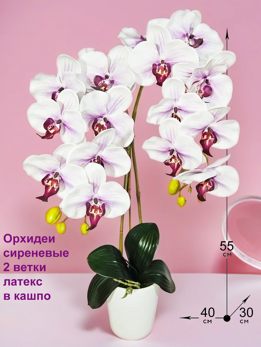Орхидеи сиреневые 2 ветки латекс в горшке
