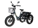 Электрический трицикл фэтбайк E-motions Panda 20 (750W 15Ah)