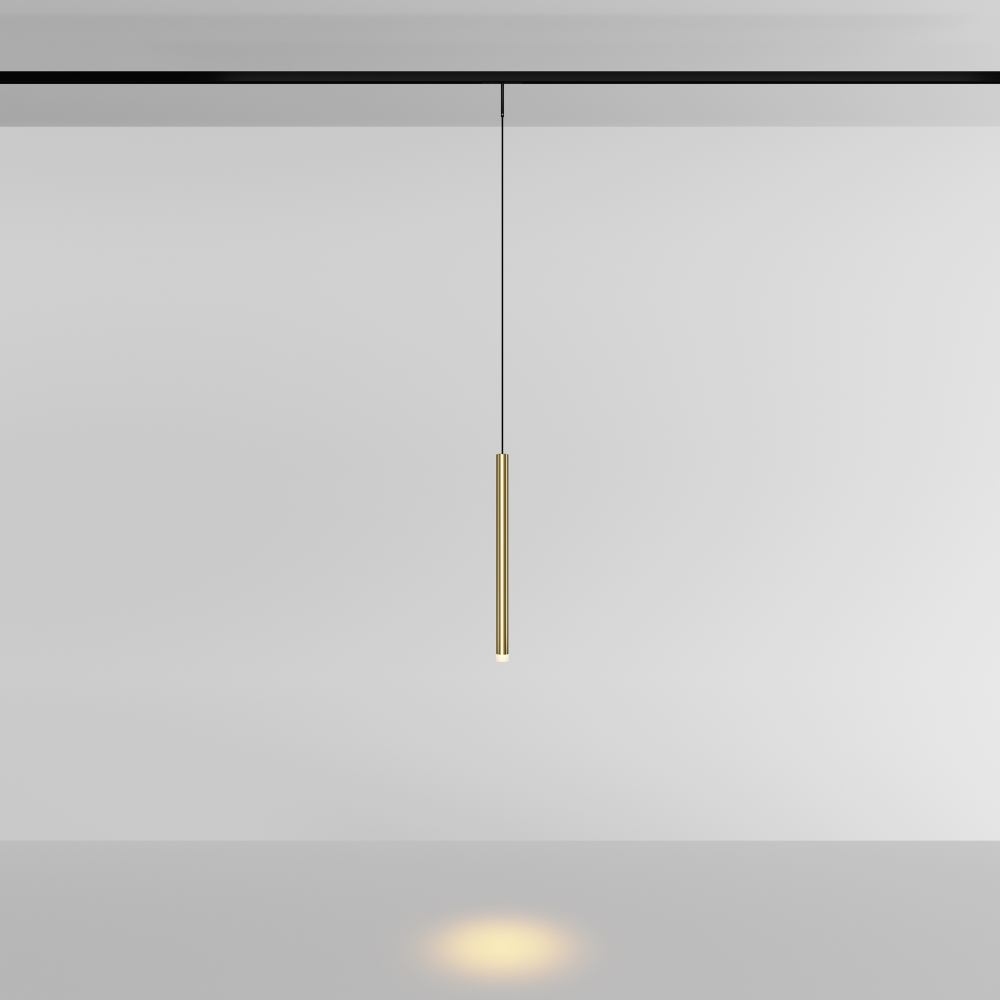 Магнитный трековый светильник Maytoni Skim TR191-1-3W2.7K-M-BBS