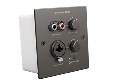 CVGAUDIO PW-IN/BL настенная панель удаленного зонального подключения