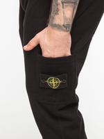 Брюки спортивные Stone Island 1220