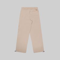  Брюки мужские Dickies Jackson Cargo Pant артикул:DK0A4YLXSS01 - купить в магазине Дайс