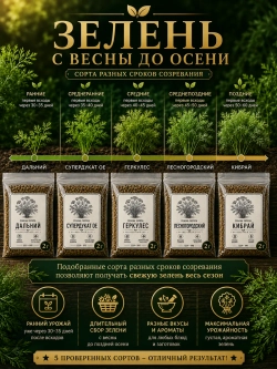 Набор семян укропа СССР 5 проверенных сортов