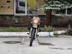 Racer ZWC2-300X ЭНДУРО камуфляж