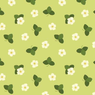 Земляничные цветы на зеленом. Strawberry flowers on the green background.