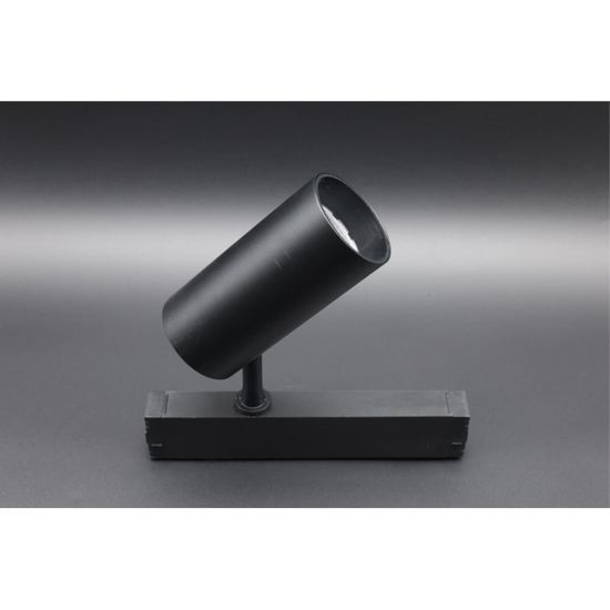 Светильник трековый APL.0205.00.20