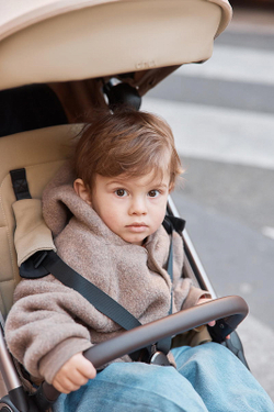 Детская коляска Anex iQ Premium NT 2 в 1 iQ-13-DNA seal