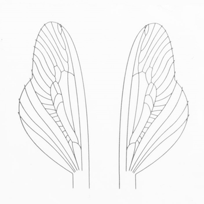 Материал для крыльев J:son&Co Realistic Wing Material Terrestrial (30 пар)