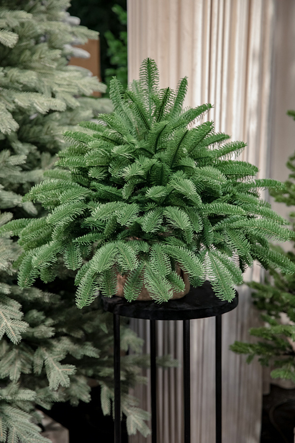 Ель искусственная настольная Датская