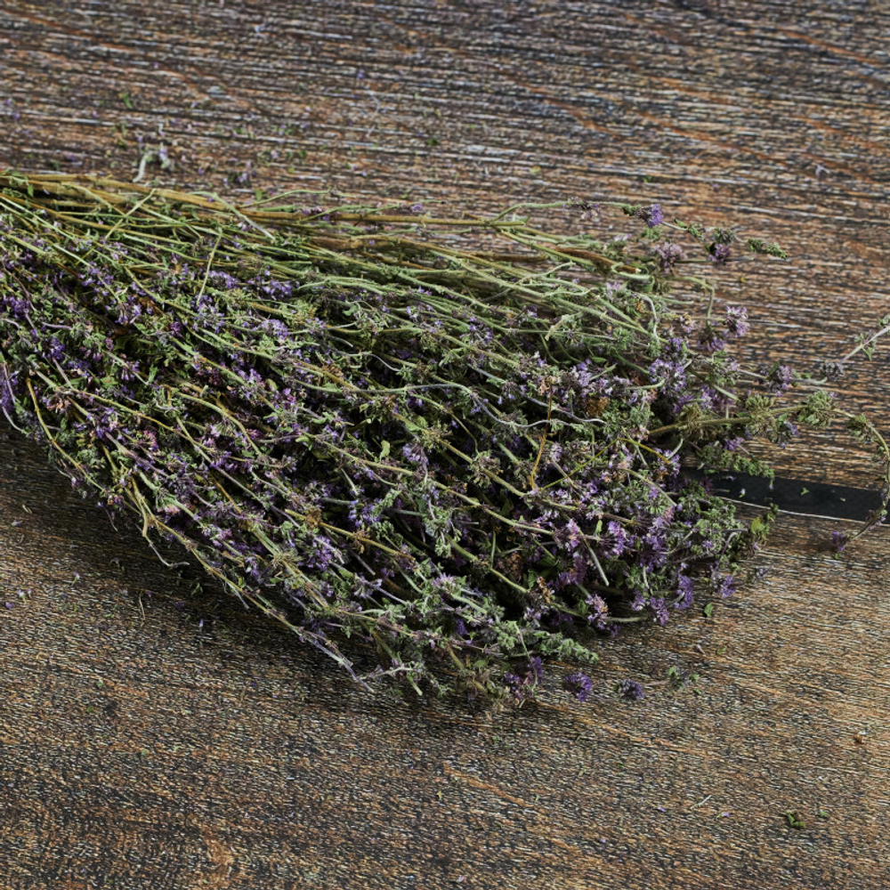 Мята горная, букет_5.jpg