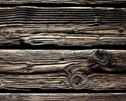 Старое дерево