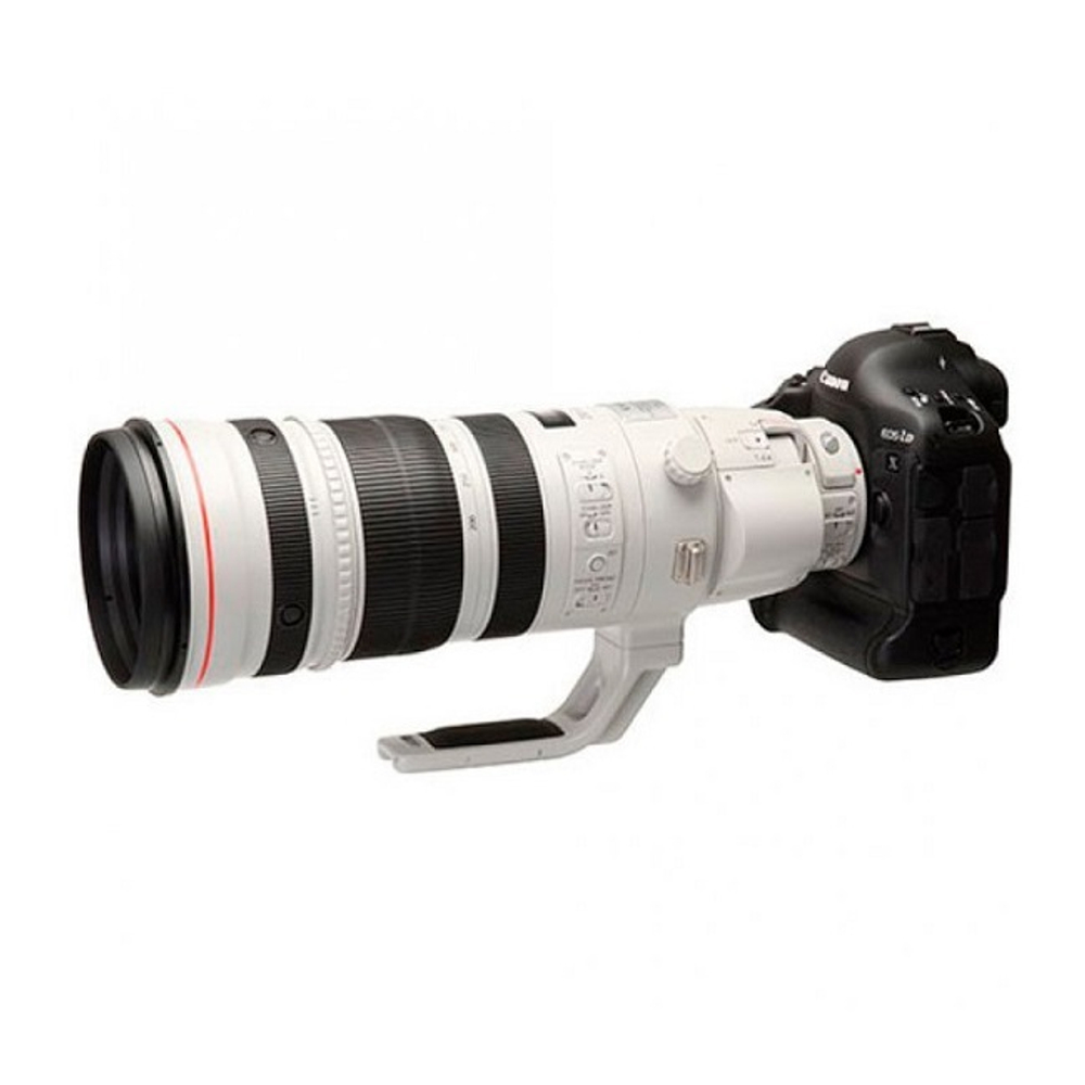 Canon EF 200-400mm f/4L IS USM Extender 1.4X_4