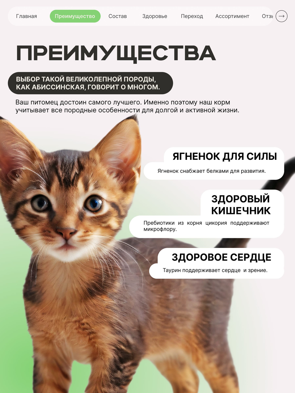 Корм сухой для котят породы Абиссинская, с ягненком, 2 кг, QUATTRO