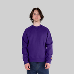 Толстовка мужская Carhartt WIP Chase Sweatshirt  - купить в магазине Dice