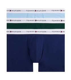Боксерки теннисные Tommy Hilfiger Brief 3P - ornamental green/purple navy/vessel blue