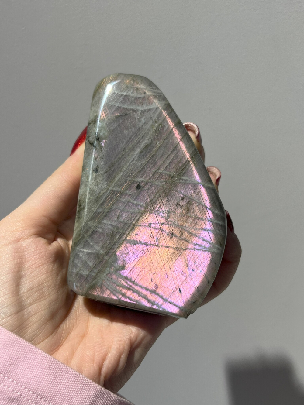 Срез Лабрадора M