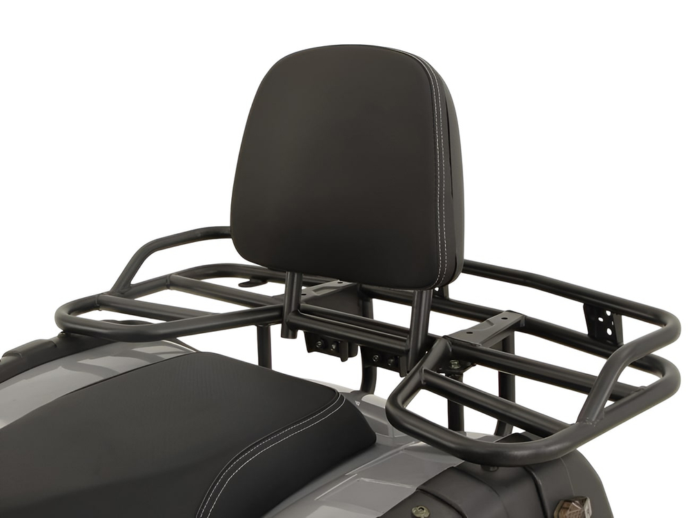 Квадроцикл GRIZZLY 200 Premium