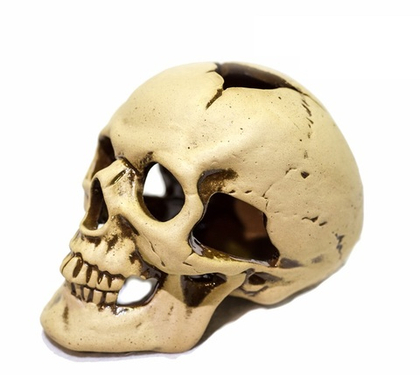 АКВА ЛОГО Декорация керамическая "Череп средний", 14*9*9,5 см