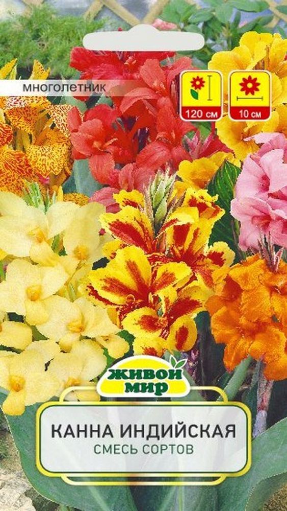 Kaннa индийcкaя cмecь copтoв 1г., Польша.