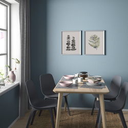 IKEA BILD  (ИКЕА БИЛД)  -  Плакат, Изучение природы 2, 40x50 см