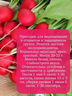 Семена Редиса "Сакса РС" 10 гр