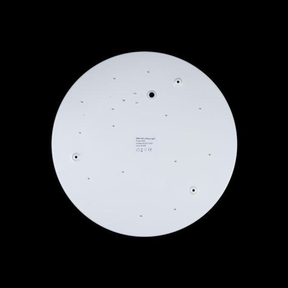 Потолочный светодиодный светильник Loft IT Axel 10003/24 white