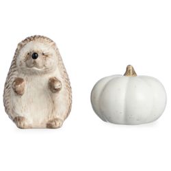 НАБОР ДЛЯ СОЛИ И ПЕРЦА 11,5Х6,5Х8 СМ 80МЛ/50 МЛ