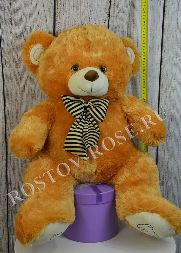 Teddy bear rs 50 store