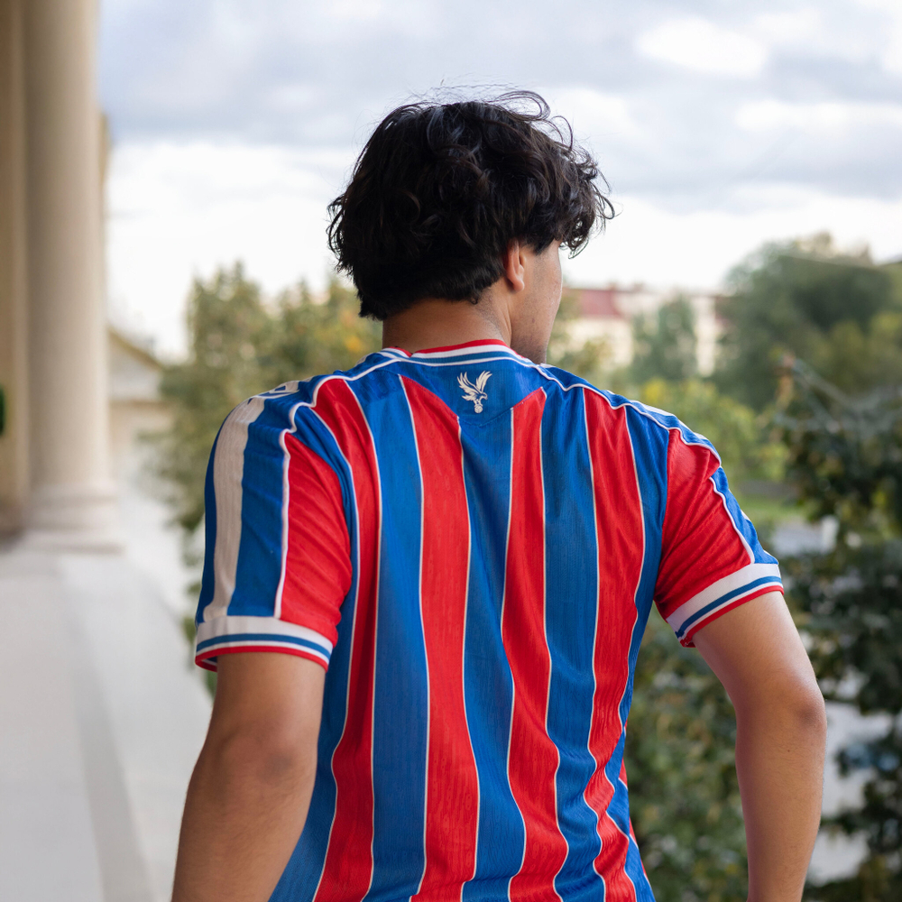 Кристал Пэлас / Домашняя / Игровая