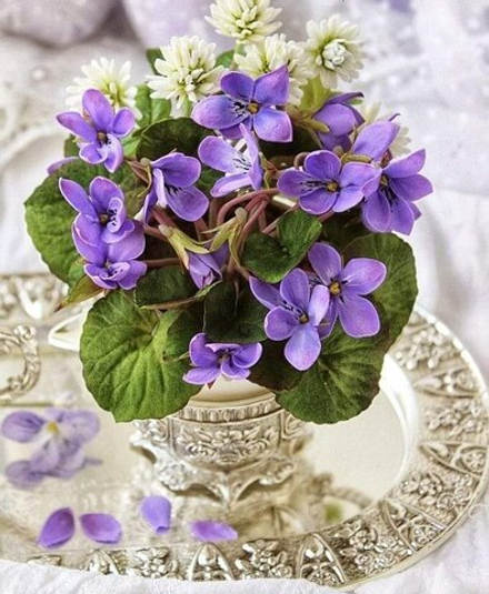 PARMANTHEME 184011 100%/ ПАРМАНТЕН 184011 CAS -