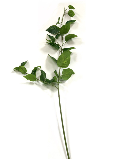 Эпипремнум ветка 120 см.