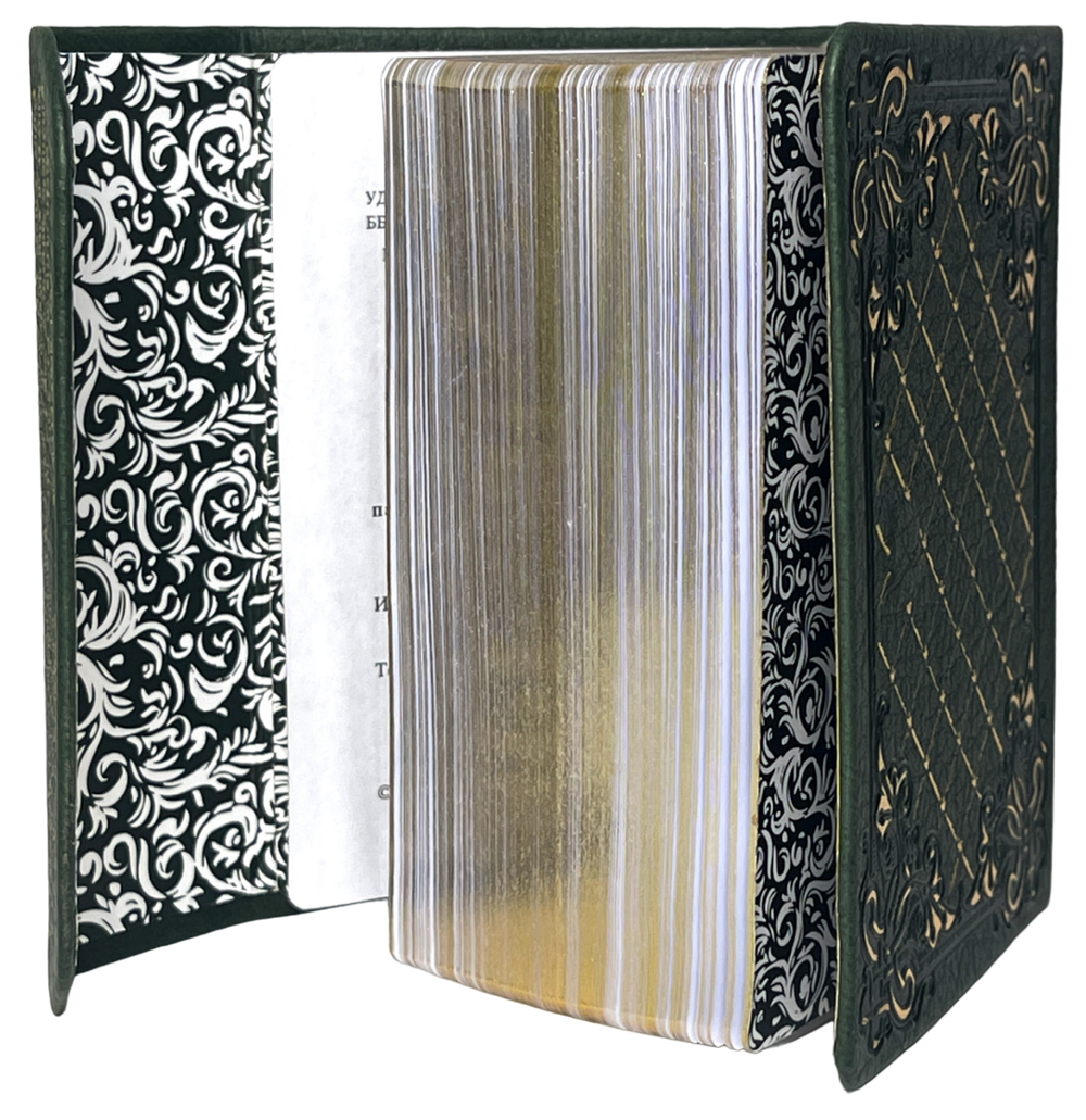 IMG_7892-PhotoRoom.png-PhotoRoom