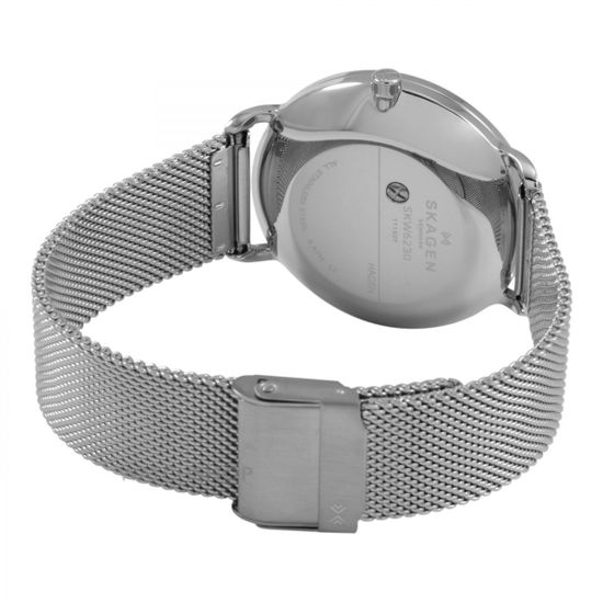 Наручные часы Skagen SKW6230