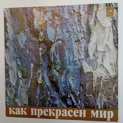 Винтажная виниловая пластинка Давид Тухманов Как Прекрасен Мир (СССР 1972)