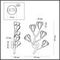 Бра Odeon Light Modern Gardi 5090/2W