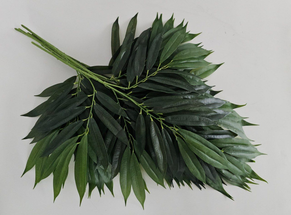 Лонгифолия 4 ответвления зеленая / Арт 1035