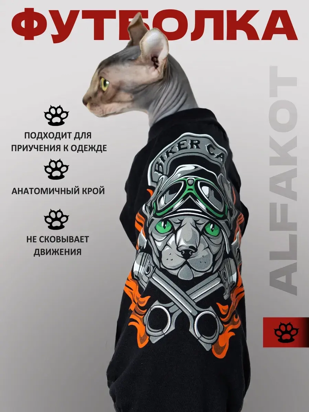 Одежда для кошек сфинкс