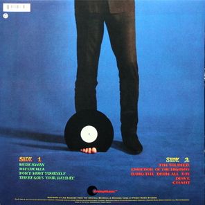 Todd Rundgren / The Ever Popular Tortured Artist Effect (LP)