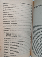 Зимний сад в вашей квартире