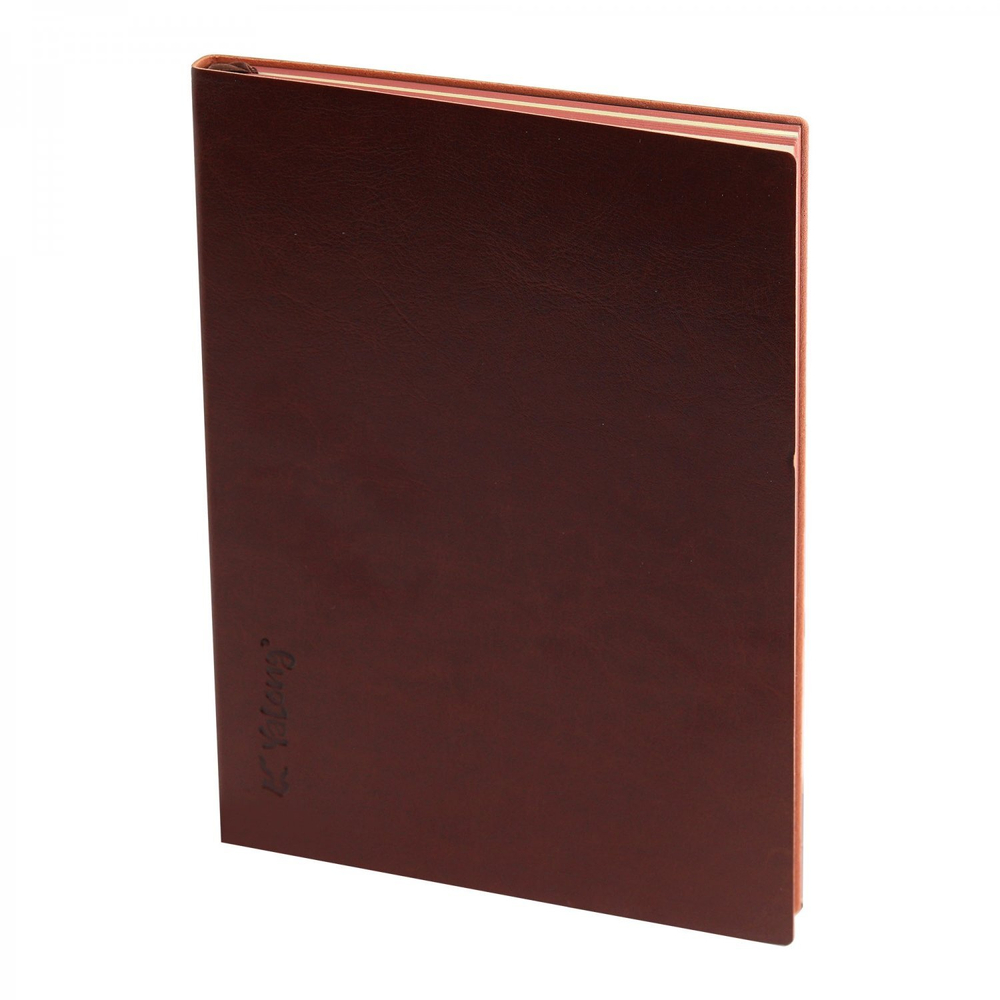 Записная книжка, 17,5 см х 25,0 см, Yalong, интегр переплет, иск. кожа, ляссе-закладка с металлич. фурнитурой, тонир. срез, ассорти, клетка, 112 л,