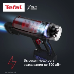 Пылесос вертикальный Tefal TY2079WO