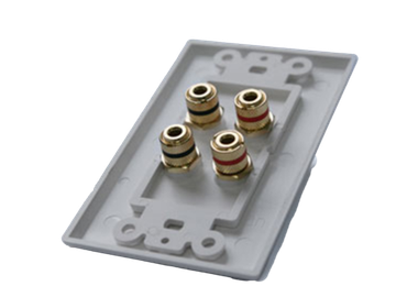 CVGAUDIO WSP02 - двухканальный настенный декоративный кабельный вывод для спикерного кабеля