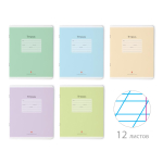 Тетрадь А5 12л. кос.линия "Люкс", 5 цв. (Альт) микс цветов (комплект 5 шт)