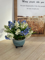 Гиацинты в кашпо, в-34 см