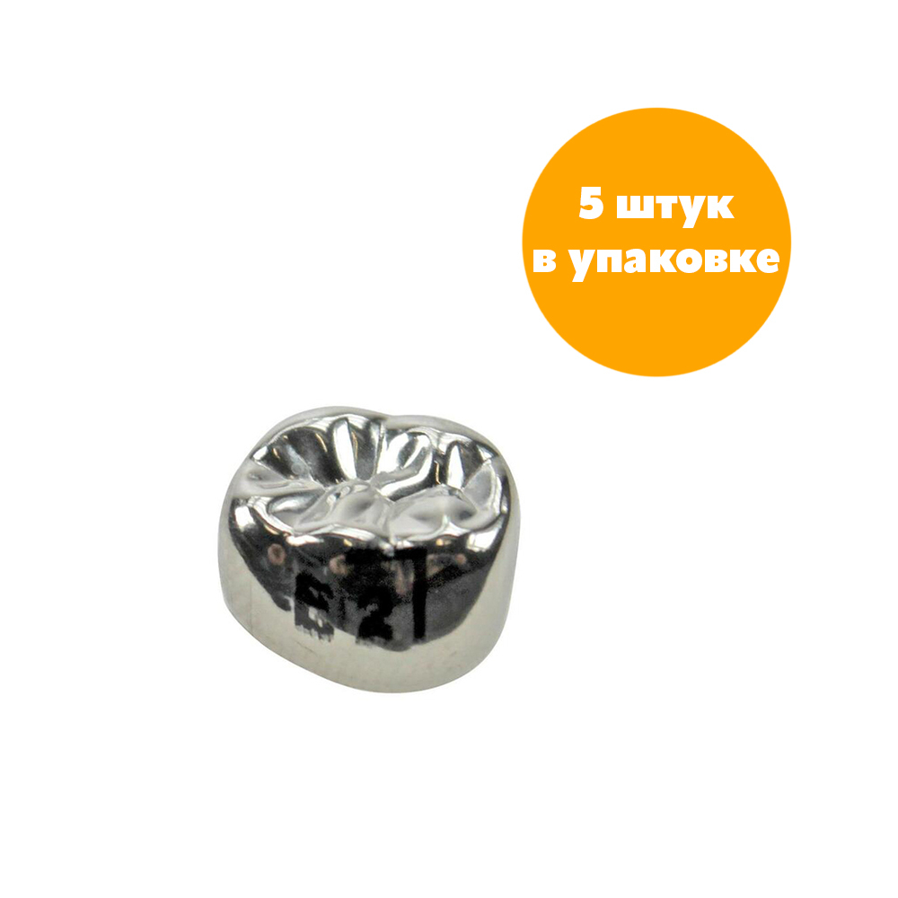 Второй нижний правый моляр, размер 2 (E-LR-2)