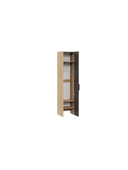 Прихожая с зеркалом Дуб крафт золотой 102х35,8х220