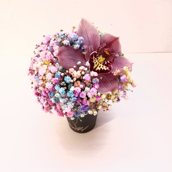 Гипсофила с орхидеей в стаканчике "Прекрасная"